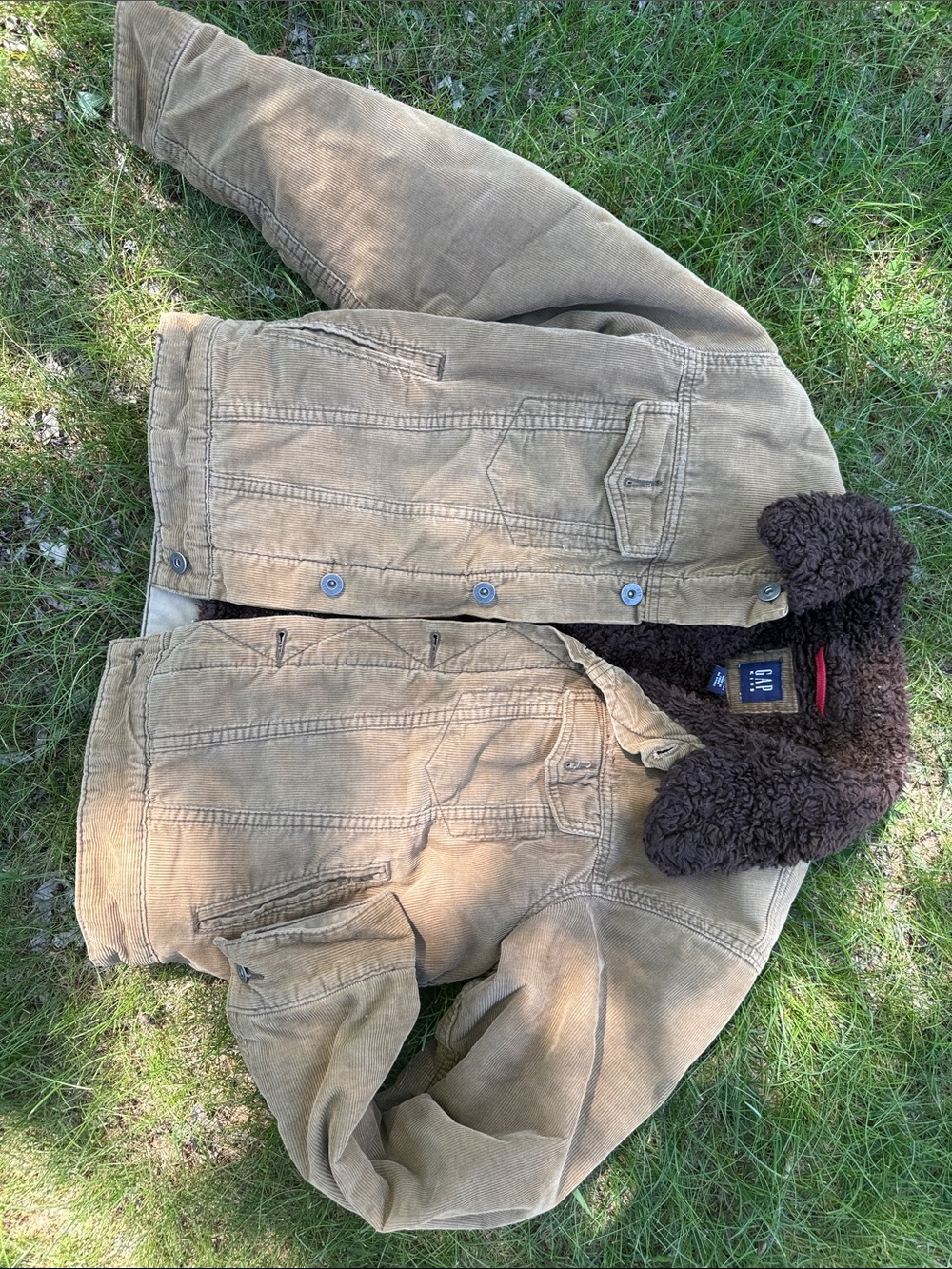GAP Tan Corduroy Jacket with Dark Brown Sherpa Collar